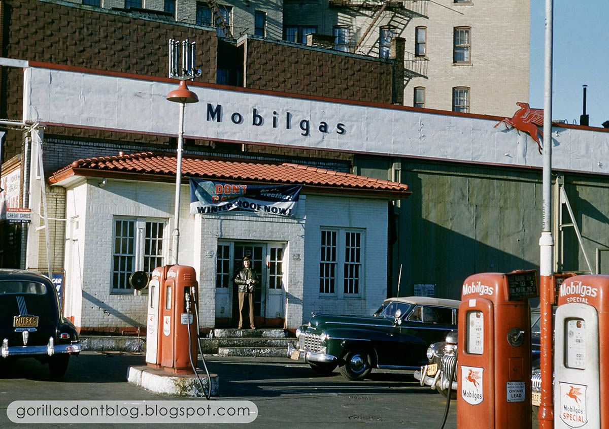 GORILLAS DON'T BLOG New York City